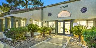 Desert Sage Gallery 52