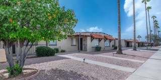 Albany Apartments Gallery 20