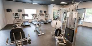 Legacy at Linden Park Gallery 41