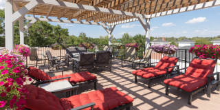 Winchester & Browning Gallery 8