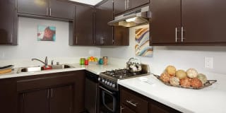 The Atrium Gallery 29