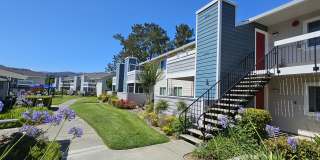 Marion Park Gallery 3