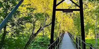 Forge Overlook Gallery 2