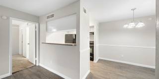 Flint at 290 Gallery 7