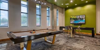 Agave 350 Gallery 22