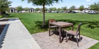 TerraLane on Cotton Gallery 11