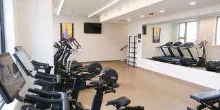 Axis at Ansel Axis at Ansel Gallery 12