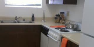 Wallington Plaza Gallery 12