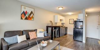 Student Housing - The Social at Stadium Walk Gallery 7