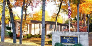 Dresden Forest Gallery 9