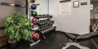 Prospect on Central Gallery 11