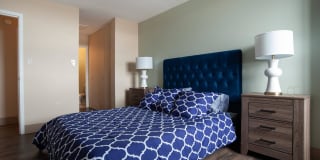 Madison Towers Gallery 11