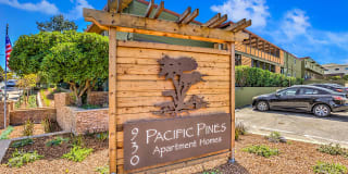 Pacific Pines Gallery 9