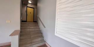 Roosevelt Plaza Gallery 5