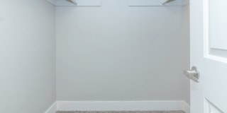 The Carlson Gallery 22
