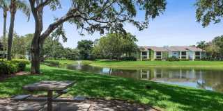 Turtle Cove Gallery 7