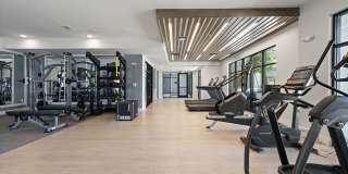 Midland Gainesville Gallery 8