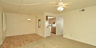 Orange Tree Villa Gallery 2