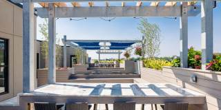 Illustrator Illustrator Gallery 1