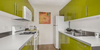 2756 North Pine Grove Gallery 14