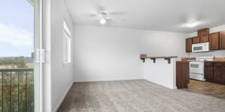 Seasons on the Park Gallery 7