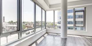 Tenley View Gallery 8