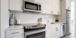 Tenley View Gallery 1