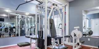 The Timbers at the Park Gallery 7