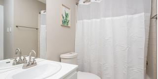 Chandler Apartments Gallery 6