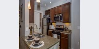 Muir Lake Gallery 44