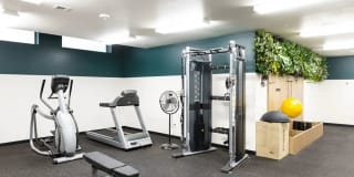 East of Eleven Gallery 35