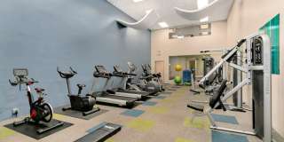 Autumn Chase Gallery 7