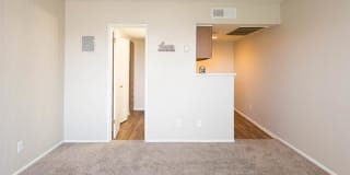 Sonoran Palms Gallery 1