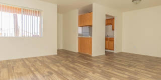 Whispering Willows Gallery 8