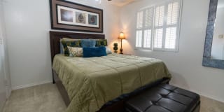 Crest Oasis Gallery 23