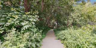Views of Minnetonka Gallery 8