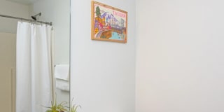 Koz on Market Gallery 11