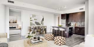 Tenley View Gallery 4
