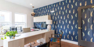 Delara Chase Gallery 1