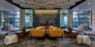 Agave 350 Gallery 17