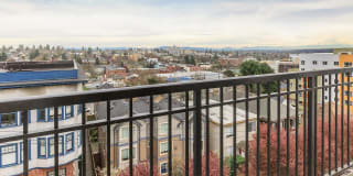 Star Apartments Gallery 14