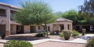 Paradise Palms II Gallery 1