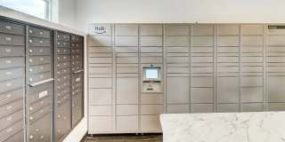 Volta at Voyager Gallery 25