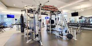 Prairie Winds Gallery 17