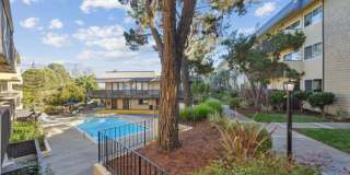 The Ralston at Belmont Hills Gallery 20
