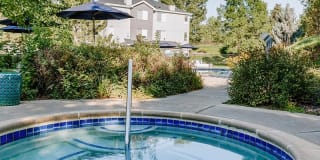 Kallisto at Bear Creek Gallery 24