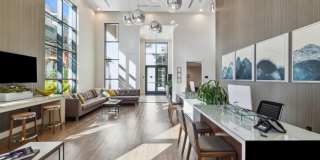 Domus on the Boulevard Gallery 18