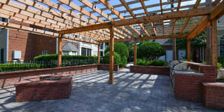 54 Magnolia Gallery 19