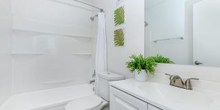 Palisade Park Gallery 19