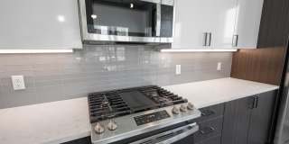 Auric Symphony Park Gallery 2